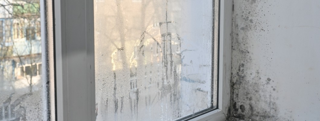 igrasie langa o fereastra de bloc