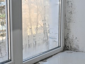 Igrasia: ce este, de ce apare și soluții eficiente pentru combatere