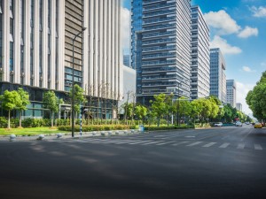 Coșul este gol! - Calea către un oraș curat