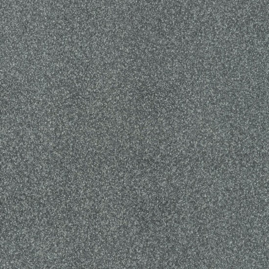 Covor pvc lentex PIONEER (2m) Covor pvc lentex PIONEER (2m)