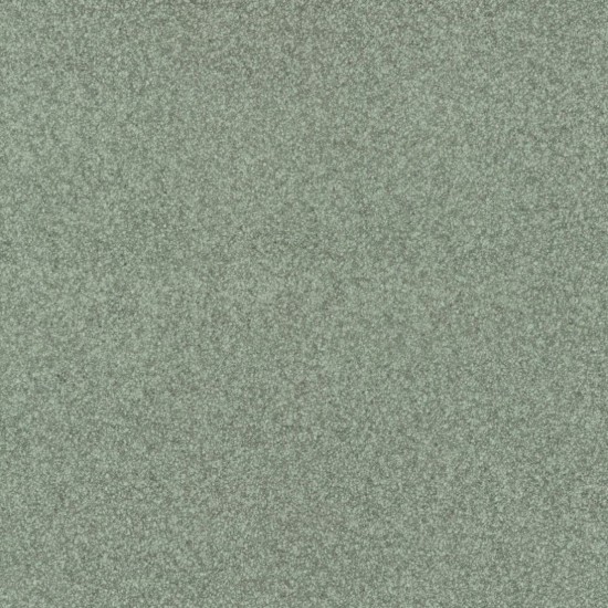 Covor pvc lentex PIONEER (2m) Covor pvc lentex PIONEER (2m)