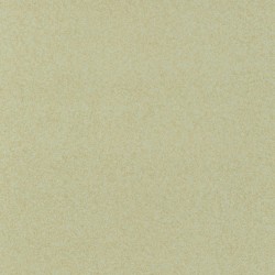 Covor pvc lentex PIONEER (2m)