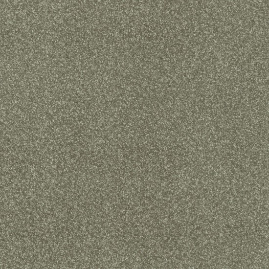 Covor pvc lentex PIONEER (2m) Covor pvc lentex PIONEER (2m)