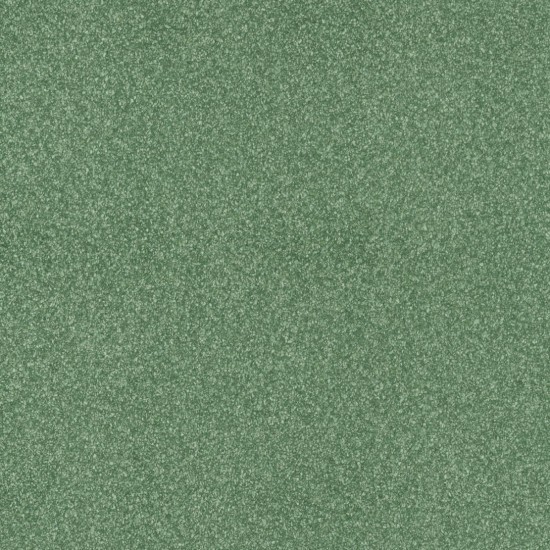 Covor pvc lentex PIONEER (2m) Covor pvc lentex PIONEER (2m)