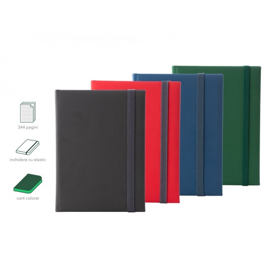 Agenda Velutino 2021 piele verde Agenda Velutino 2021 piele verde