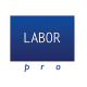 Cap freza diamant Labor Pro