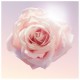Idole Lancome Eau de Parfum 50 ml Idole Lancome Eau de Parfum 50 ml