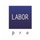 Penseta profesionala curbata, cu lamele oblice Labor Pro Penseta profesionala curbata, cu lamele oblice Labor Pro