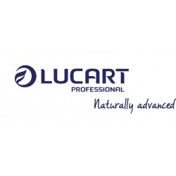 Hartie igienica mini jumbo, cu 2 straturi, Lucart Strong 19J Plus, 170m Hartie igienica mini jumbo, cu 2 straturi, Lucart Strong 19J Plus, 170m