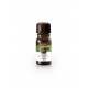 Ulei esential aromatic menta Organique 7 ml Ulei esential aromatic menta Organique 7 ml