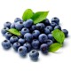 Toner hidratant antioxidant cu extract de afine si acid hialuronic, 100ml - Anti-OX Wild Blueberry