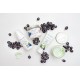 Exfoliant corporal cu struguri si unt de shea Organique 200 ml Exfoliant corporal cu struguri si unt de shea Organique 200 ml