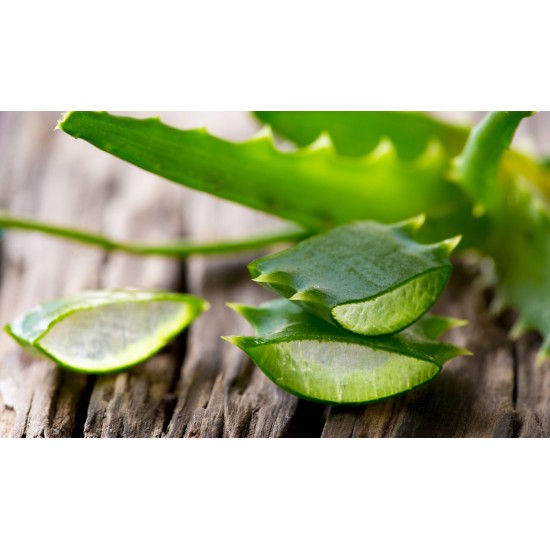 Crema hidratanta de fata cu aloe pentru toate tipurile de ten Herbal Care 50 ml Crema hidratanta de fata cu aloe pentru toate tipurile de ten Herbal Care 50 ml
