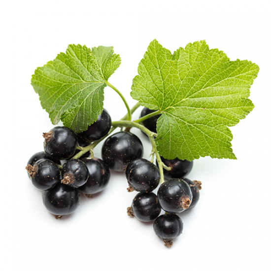 Balsam de buze cu unt de shea si coacaze - Benecos Balsam de buze cu unt de shea si coacaze - Benecos