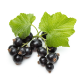 Balsam de buze cu unt de shea si coacaze - Benecos Balsam de buze cu unt de shea si coacaze - Benecos