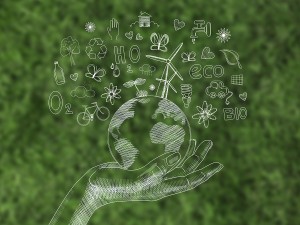 De ce să facem colectare selectivă în pubele speciale?