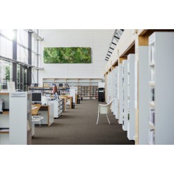 Mochetă E-Blitz Gri Roșu 010 Mochetă E-Blitz Gri Roșu 010