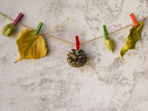 Curățenia de toamnă se face mai ușor ca niciodată!