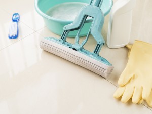 Sanito - ajutorul perfect pentru menținerea curățeniei spațiilor interioare