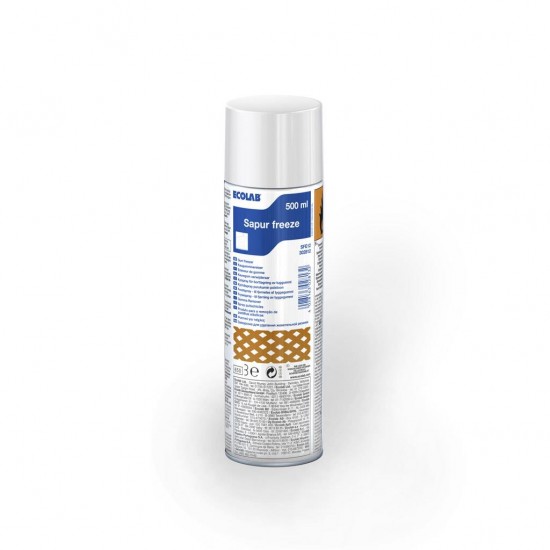 Detergent pentru curatarea covoare, CARPET FREEZE, Ecolab, spray, 500 ml Detergent pentru curatarea covoare, CARPET FREEZE, Ecolab, spray, 500 ml