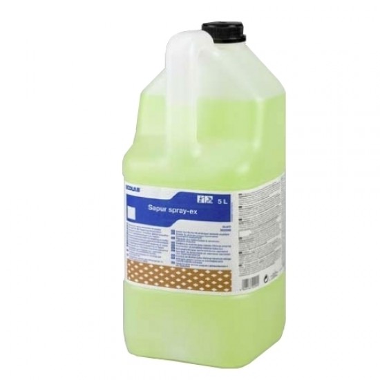 Solutie curatare covoare CARPET SPRAY-EX 5L Ecolab