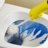Detergenti si dezinfectanti WC Detergenti si dezinfectanti WC
