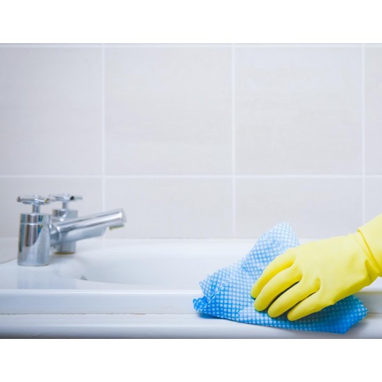 SANIPONS-WC-Detergent dezincrustant pentru wc si grupuri sanitare, Asevi, 1L
