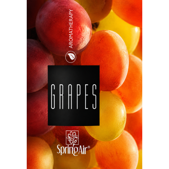 Rezerva odorizant prin nano-atomizare, GRAPES - Spring Air, 500ml Rezerva odorizant prin nano-atomizare, GRAPES - Spring Air, 500ml