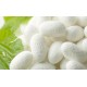 Crema de față antirid si fermitate pentru ten matur cu trandafir salbatic Herbal Care 50 ml Crema de față antirid si fermitate pentru ten matur cu trandafir salbatic Herbal Care 50 ml