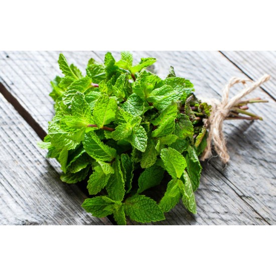 Ulei esential aromatic menta Organique 7 ml Ulei esential aromatic menta Organique 7 ml