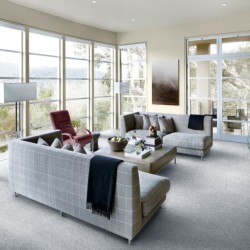 Mocheta rola Balta NEWPORT AB (4m)  Mocheta rola Balta NEWPORT AB (4m)