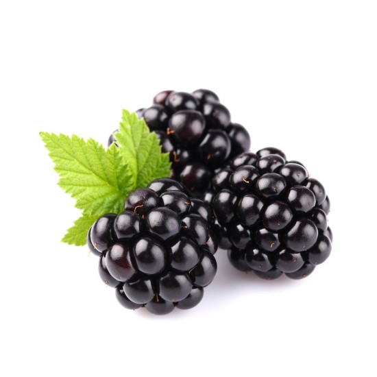 Crema-masca de noapte regeneranta antioxidanta cu ceramide si Q10, 50ml - Anti-OX Wild Blueberry Crema-masca de noapte regeneranta antioxidanta cu ceramide si Q10, 50ml - Anti-OX Wild Blueberry