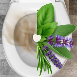 AKTIV DUFT - Odorizant concentrat pentru toalete, Kiehl,  1 L AKTIV DUFT - Odorizant concentrat pentru toalete, Kiehl,  1 L