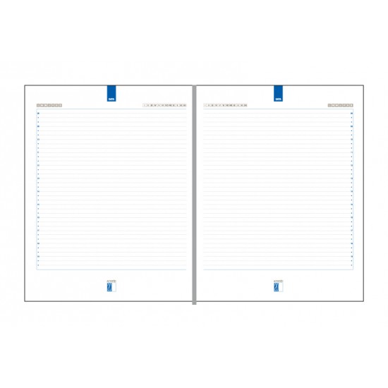 Agenda Activ, 21 x 27 cm, 232 pagini