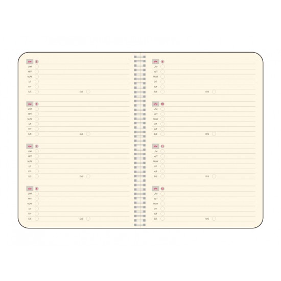 Agenda Idea, 16.3 x 24 cm, 224 pagini Agenda Idea, 16.3 x 24 cm, 224 pagini