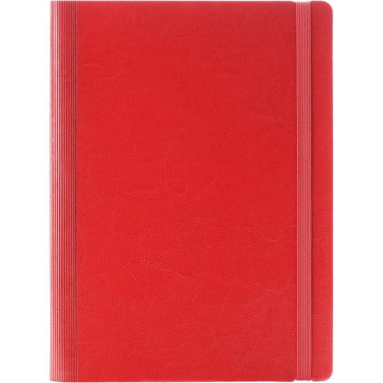 Agenda Idea, 16.3 x 24 cm, 224 pagini Agenda Idea, 16.3 x 24 cm, 224 pagini