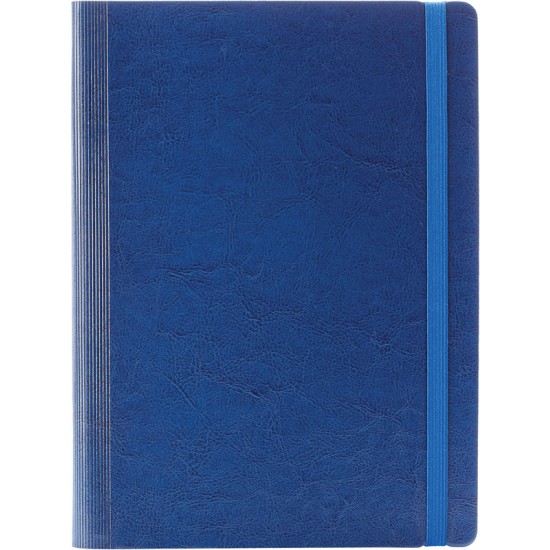 Agenda Idea, 16.3 x 24 cm, 224 pagini Agenda Idea, 16.3 x 24 cm, 224 pagini