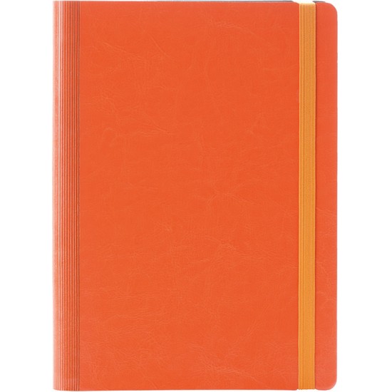 Agenda Idea, 16.3 x 24 cm, 224 pagini Agenda Idea, 16.3 x 24 cm, 224 pagini
