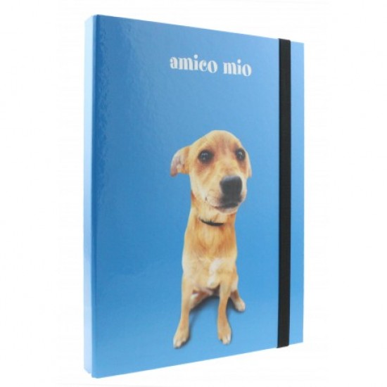 Mapa 3 cm carton a4 favini amico mio Mapa 3 cm carton a4 favini amico mio