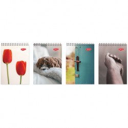 Bloc notes a5 spira 80 file daco bn580ar Bloc notes a5 spira 80 file daco bn580ar