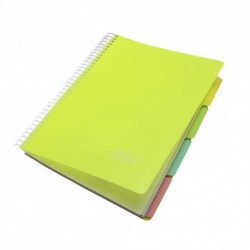 Caiet a4 200 file 5 subiecte daco eminent Caiet a4 200 file 5 subiecte daco eminent