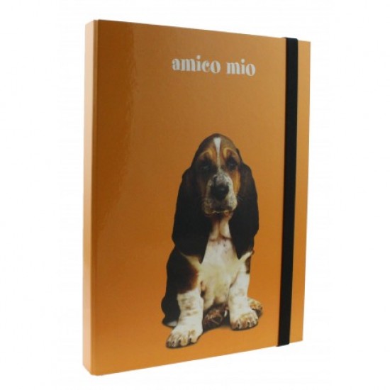 Mapa 3 cm carton a4 favini amico mio Mapa 3 cm carton a4 favini amico mio