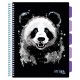 Caiet cu spirala si separatoare, STRIGO PADS Project Book PISICA, A4, Matematica, PADS019 Caiet cu spirala si separatoare, STRIGO PADS Project Book PISICA, A4, Matematica, PADS019