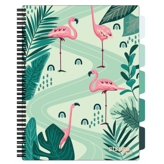 Caiet cu spirala si separatoare, STRIGO PADS Project Book Jungle A4, Matematica, PADS034 Caiet cu spirala si separatoare, STRIGO PADS Project Book Jungle A4, Matematica, PADS034