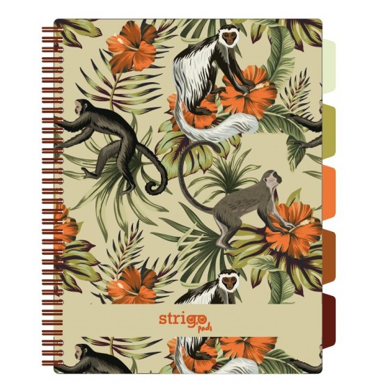 Caiet cu spirala si separatoare, STRIGO PADS Project Book TROPICAL, A4, Matematica, PADS060 Caiet cu spirala si separatoare, STRIGO PADS Project Book TROPICAL, A4, Matematica, PADS060