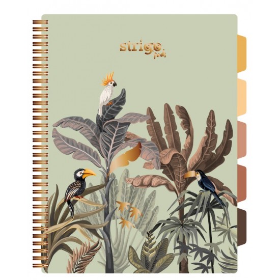 Caiet cu spirala si separatoare, STRIGO PADS Project Book Africa, A4, Matematica, PADS067 Caiet cu spirala si separatoare, STRIGO PADS Project Book Africa, A4, Matematica, PADS067