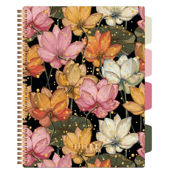 Caiet cu spirala si separatoare, STRIGO PADS Project Book DRAGON, B5, Matematica, PADS072 Caiet cu spirala si separatoare, STRIGO PADS Project Book DRAGON, B5, Matematica, PADS072