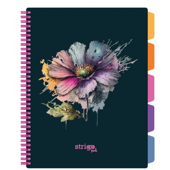 Caiet cu spirala si separatoare, STRIGO PADS Project Book DRAGON, B5, Matematica, PADS072 Caiet cu spirala si separatoare, STRIGO PADS Project Book DRAGON, B5, Matematica, PADS072