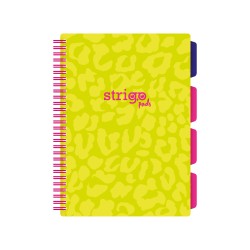 Caiet cu spirala si separatoare, STRIGO PADS Project Book Neon B5, Matematica, PADS013 Caiet cu spirala si separatoare, STRIGO PADS Project Book Neon B5, Matematica, PADS013