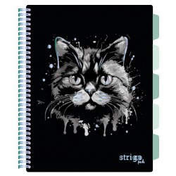 Caiet cu spirala si separatoare, STRIGO PADS Project Book PISICA, A4, Matematica, PADS019 Caiet cu spirala si separatoare, STRIGO PADS Project Book PISICA, A4, Matematica, PADS019